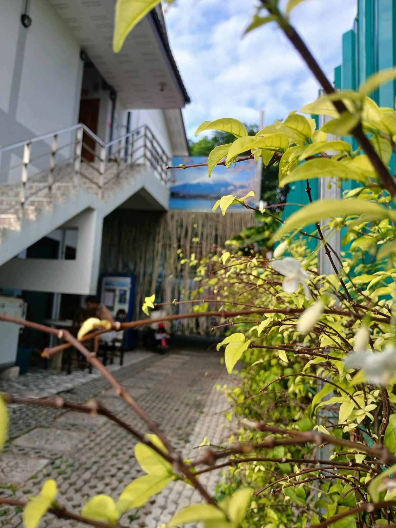 Ostello Sakura House Chiang Mai Esterno foto