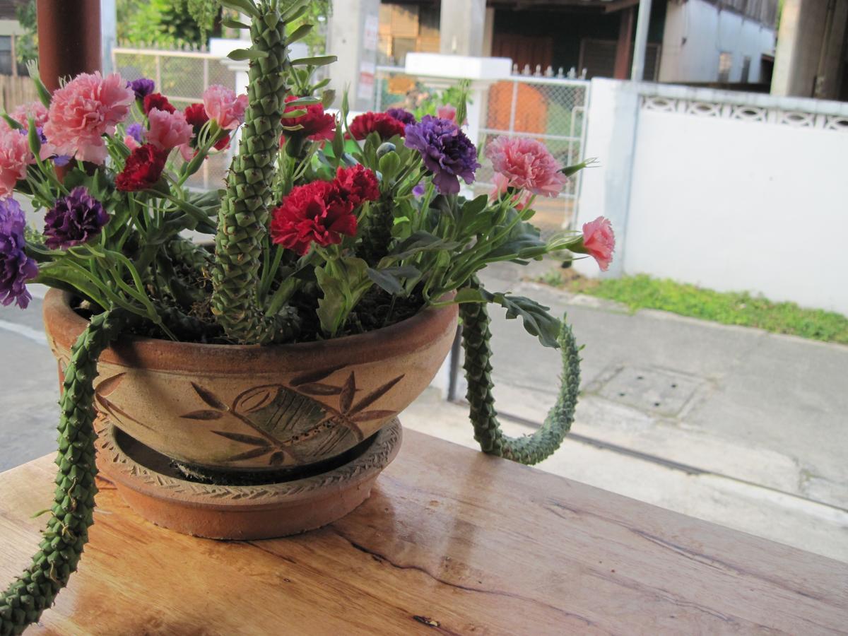 Ostello Sakura House Chiang Mai Esterno foto